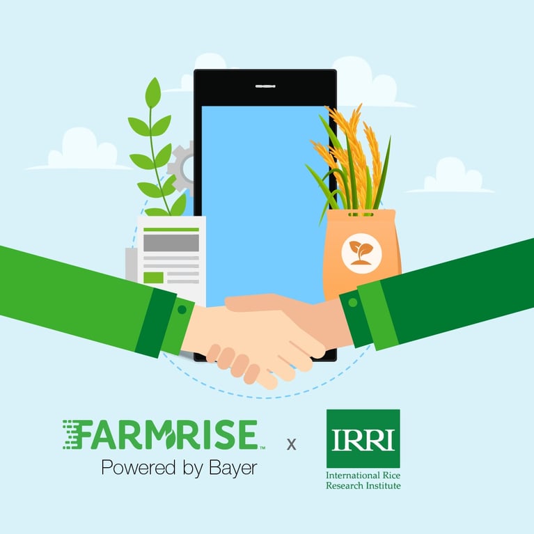 FarmRise x IRRI.jpg