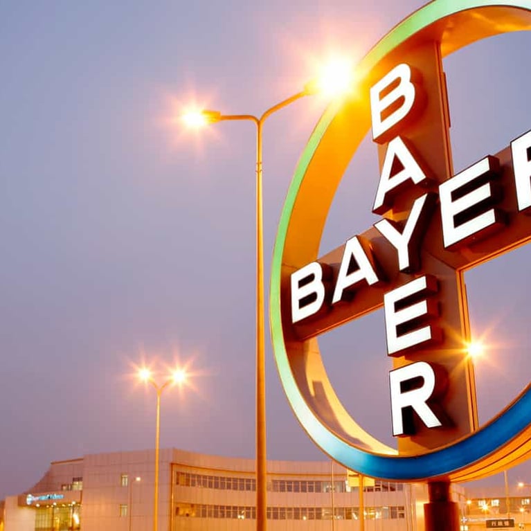 teaser bayer cross