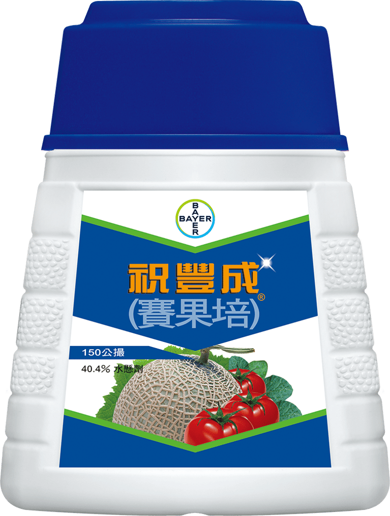 baiershachongjizhufengchengcalypso.png