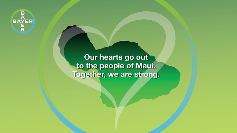ba-maui-strong-graphic-8-23-rev2.jpg