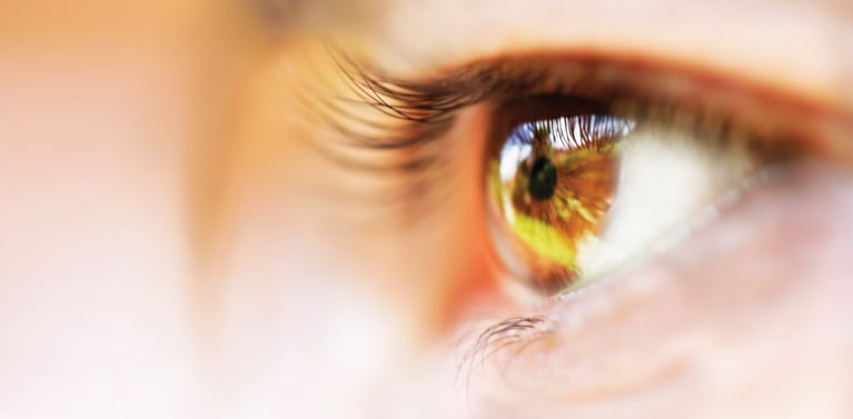 Banner-Pharma-8-1440x590.jpg