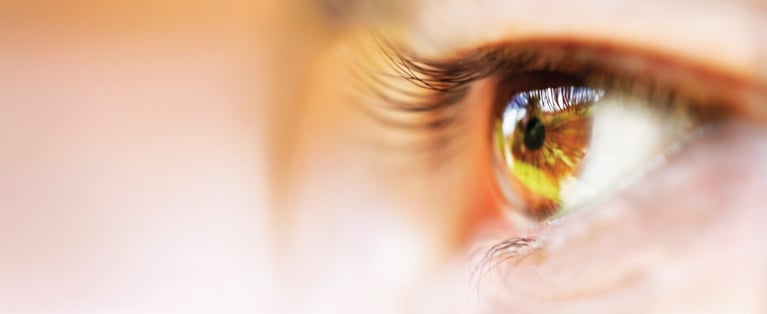 Banner-Pharma-8-1440x590.jpg