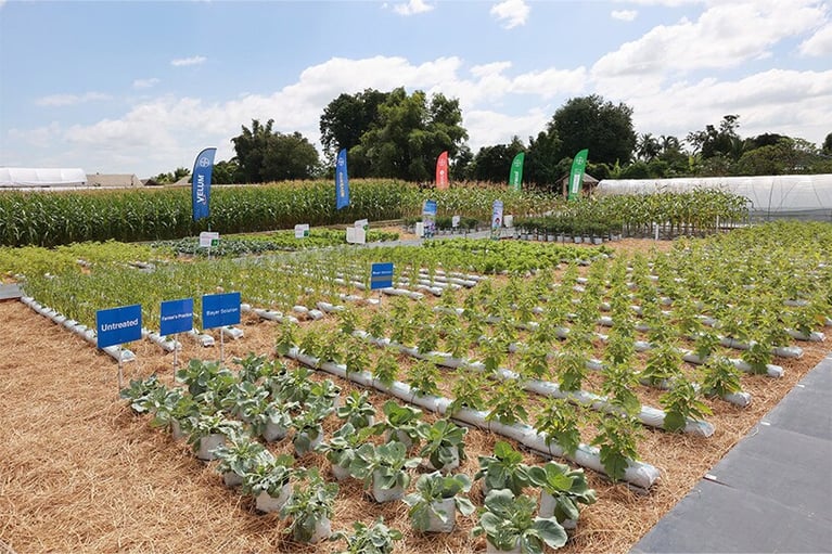 bayer-agri-solution-research-center4.jpg