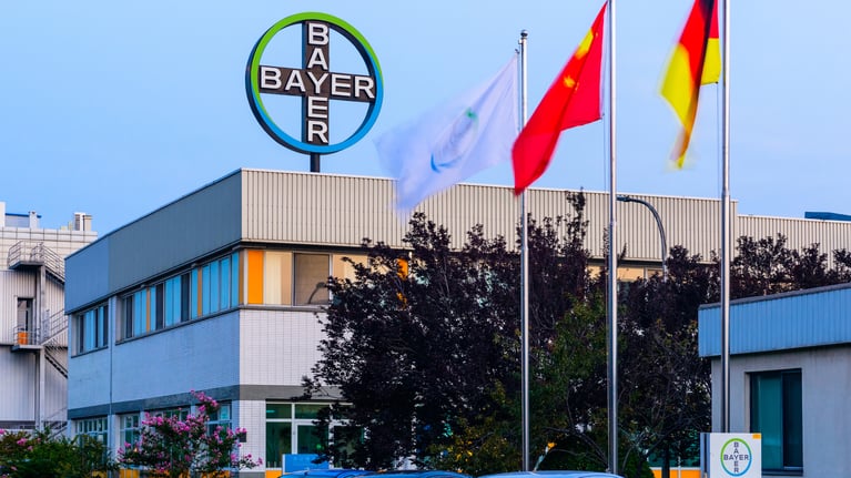 bayer-cross-beijing-2.jpg