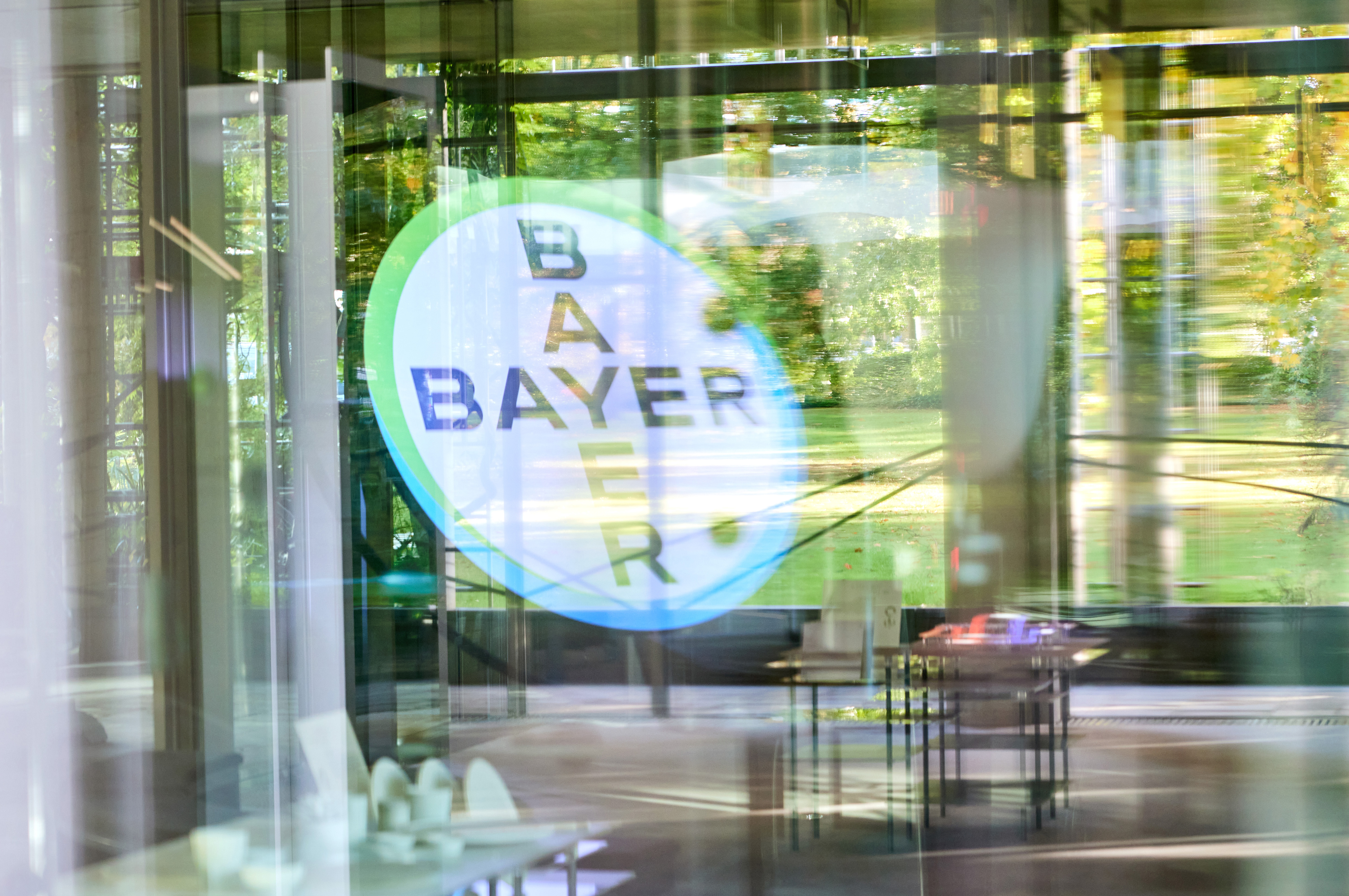 bayer-cross-in-baykomm.jpg