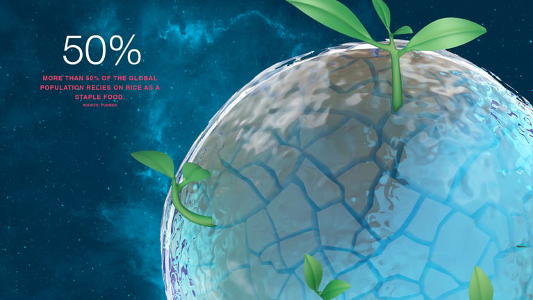 bayer-foodsecurity-plan-v4-04-1-1.png