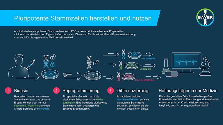 Bayer-ZellenProgramm-DE_1067x600.jpg