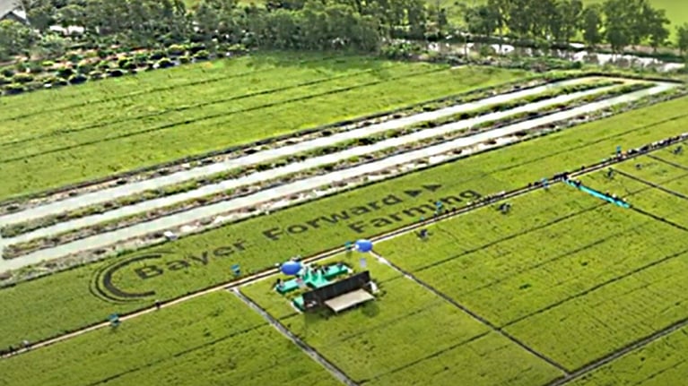 BayerForward Farming-1280x720.jpg