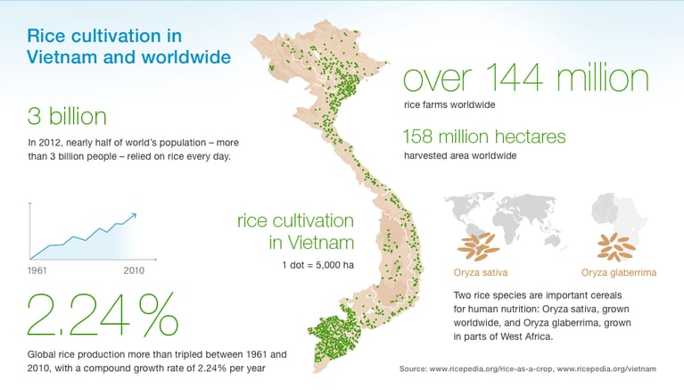 bayermag_vietnam_en_995.png