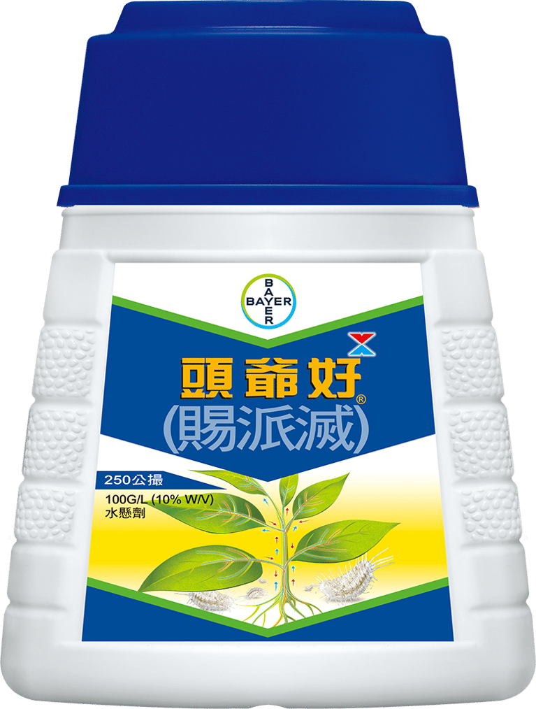 baiershachongjitouyehaomovento.png