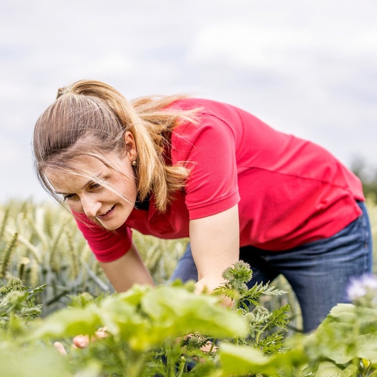 employee in a wheat field m