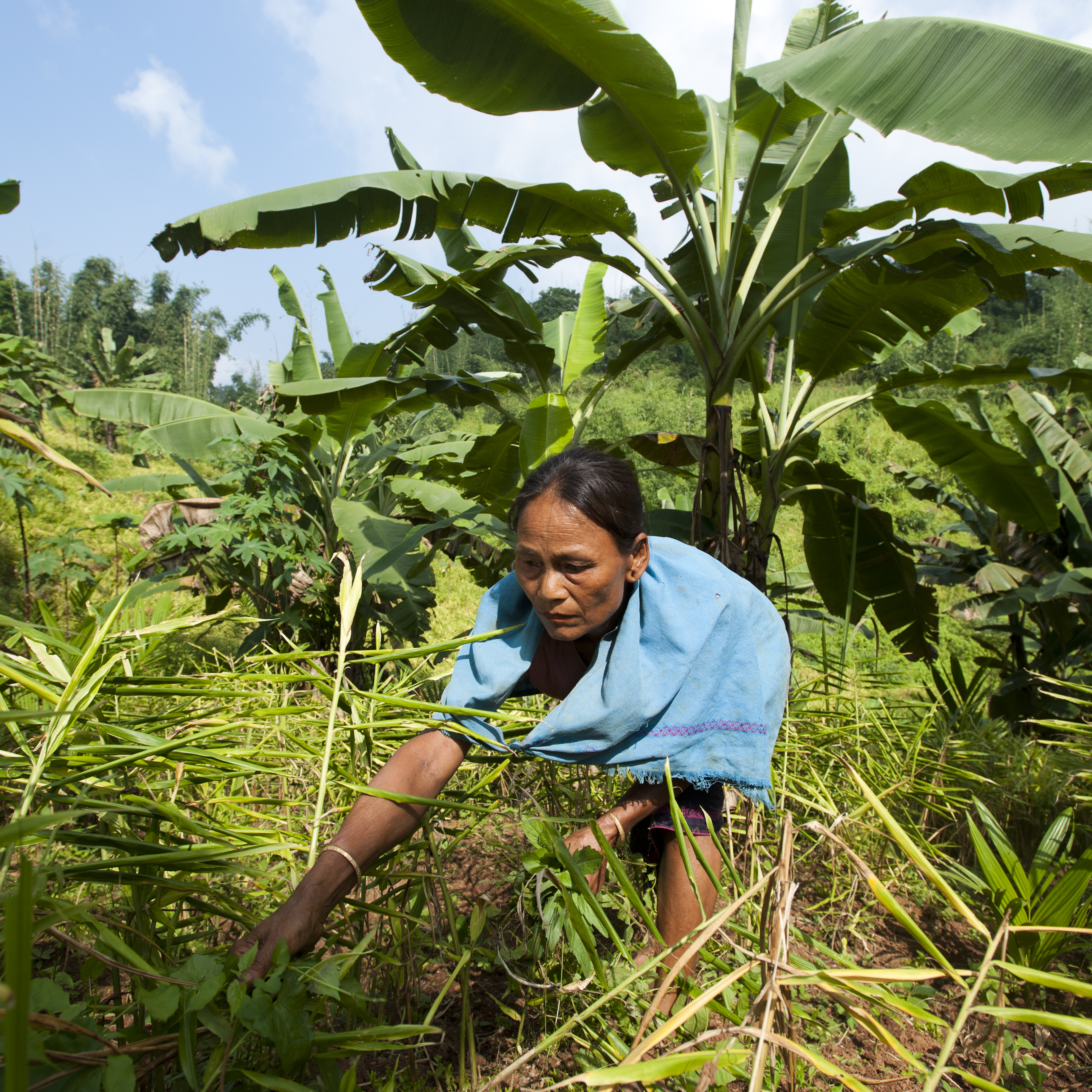 indian_women_working_in_a_field.jpg