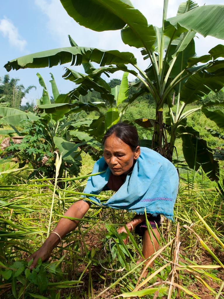 indian_women_working_in_a_field.jpg