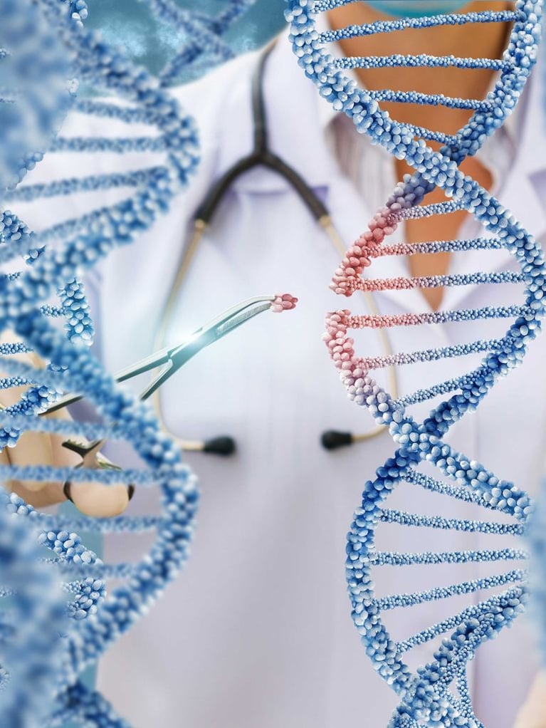 symbolic image genome editing