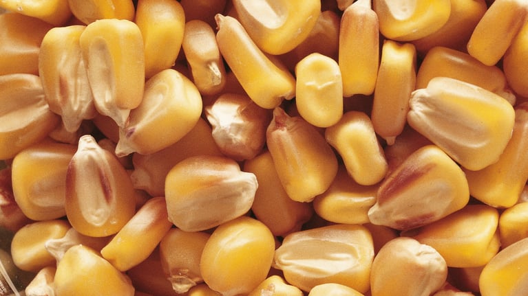 benefits-gm-crops-slider-1.png