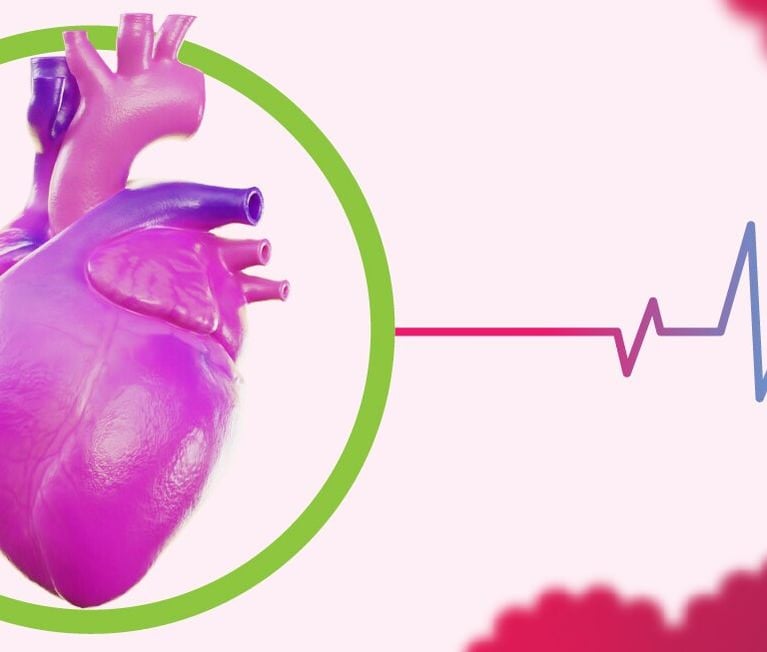 bh-webbanners-heart.jpg
