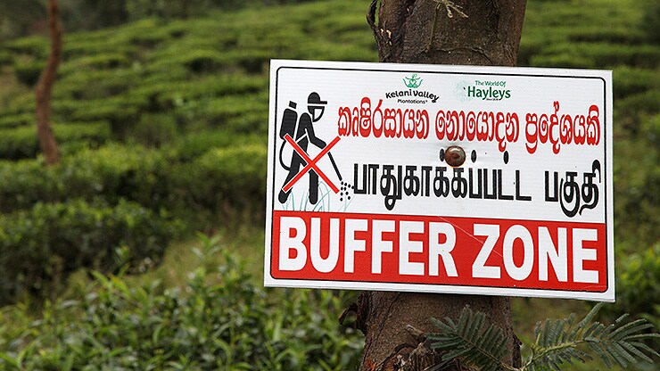bild3_sri_lanka_galerie_04_740x416.jpg
