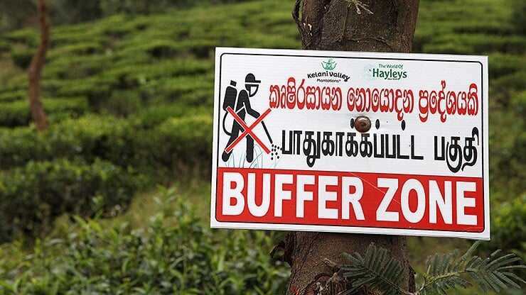bild3_sri_lanka_galerie_04_740x416.jpg