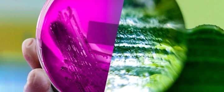 BioRevolution_header.jpg