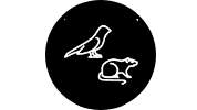 birds-and-mammals.png