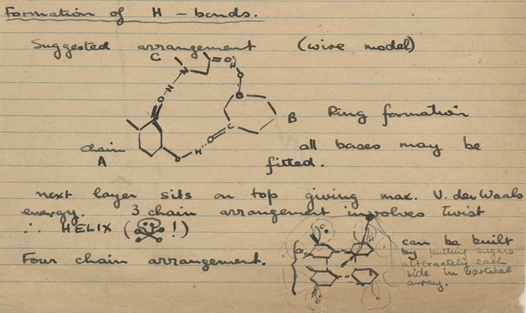 body-rosalind-franklin-notes-dna-doublehelix-2-0.jpg