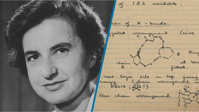 body-rosalind-franklin-portrait-notes-dna-doublehelix-1-0.jpg