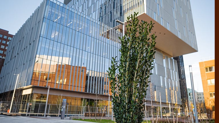 building photos