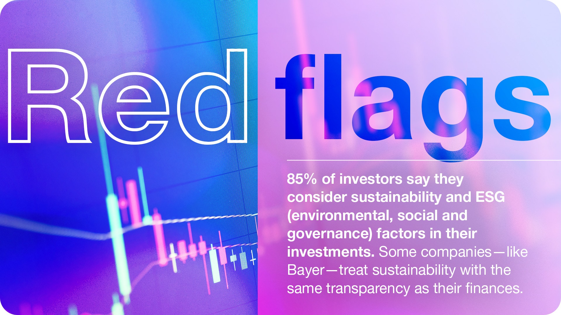 business-red-flags.jpg