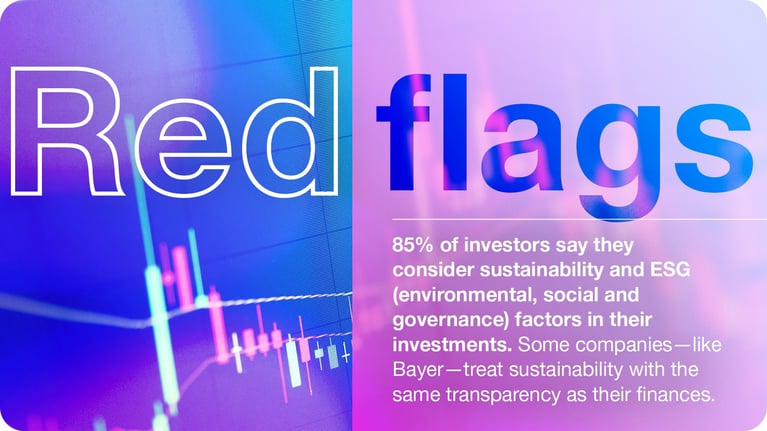 business-red-flags.jpg