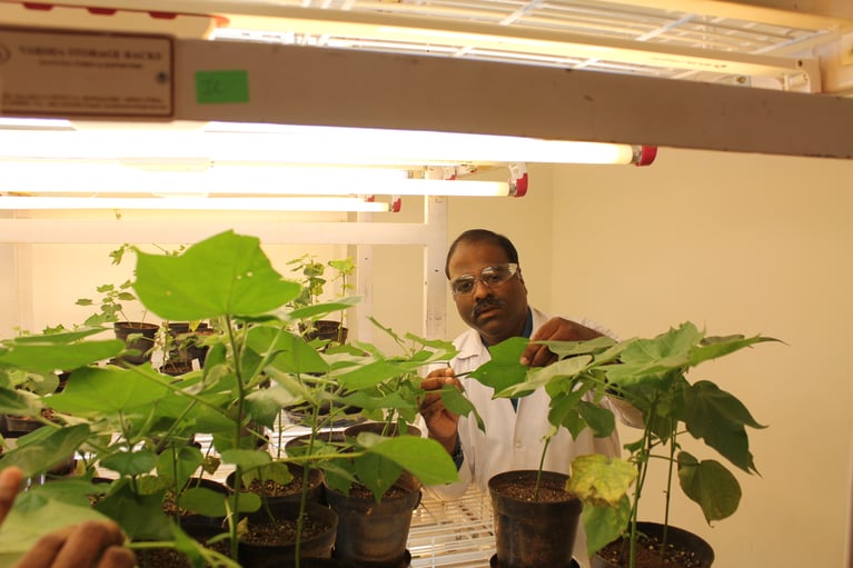 researcher_in_a_breeding_center.jpg