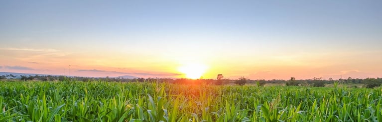 agricultura-moderna.jpg