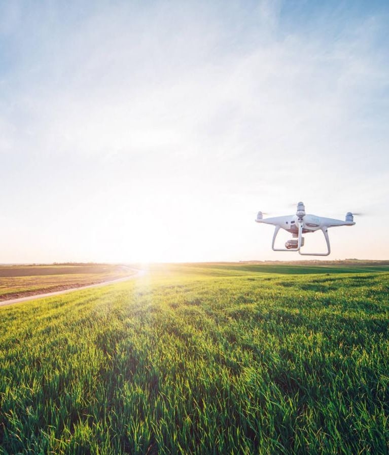 Drone flying over green corn field 1 3