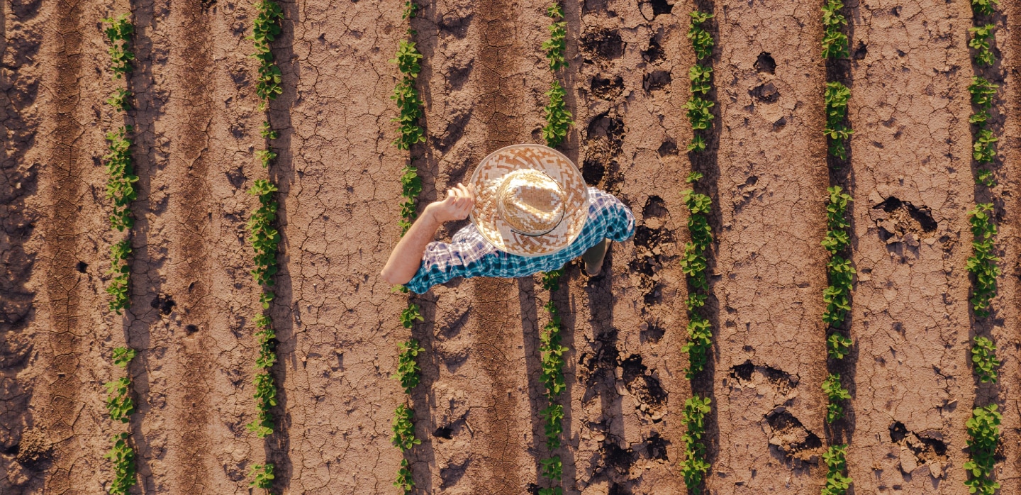 Farmer