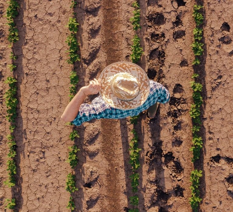 Farmer