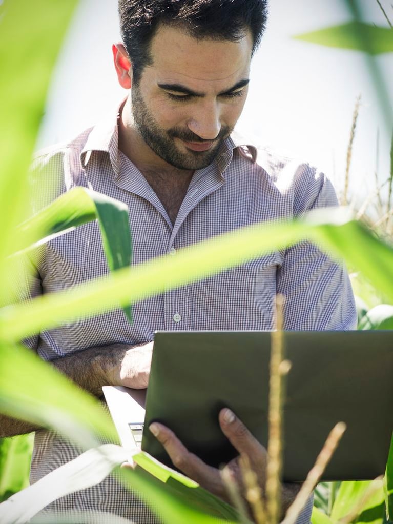A male agricultural specialist or farmer standing in a cornfield, smiling while looking down and working on a laptop. Out-of-focus green corn leaves frame the foreground.