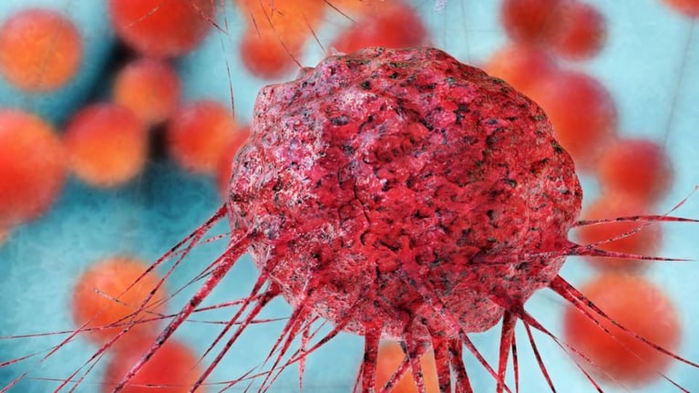 Cancer cells 3 1