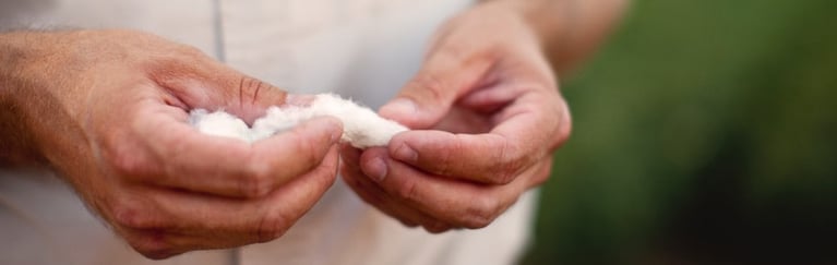 Farmer_inspecting_cotton_975X309.jpg