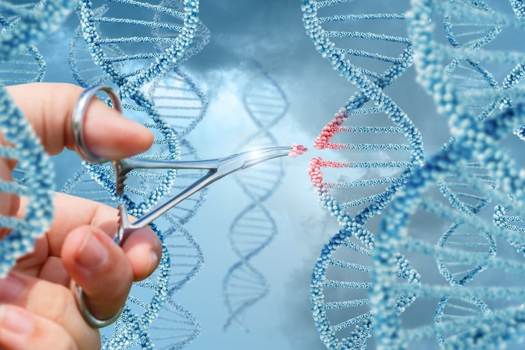 hand inserts a molecule into dna