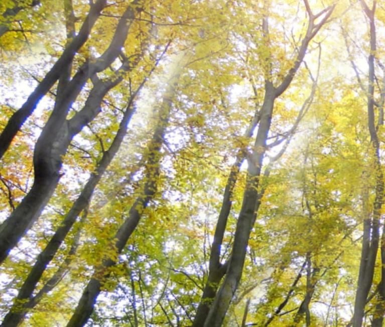 climate-1440x590.jpg