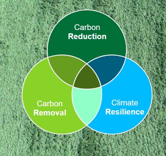 climate-image.jpg