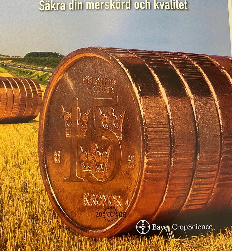 coins-field-0.png