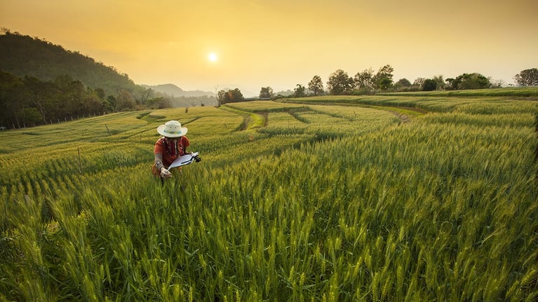 Field
