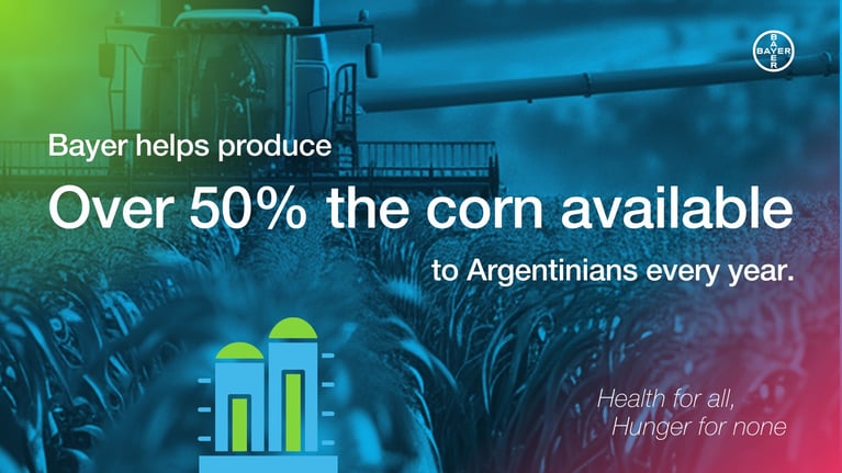 corn-argentina.png