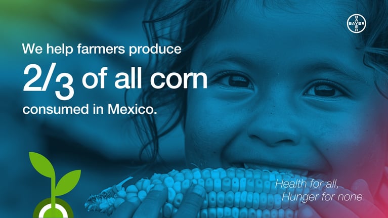 corn-mexico.png