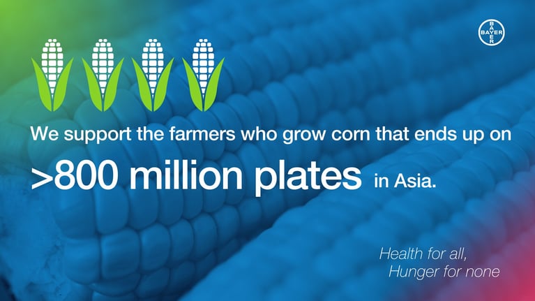 corn-plates-asia-0.png