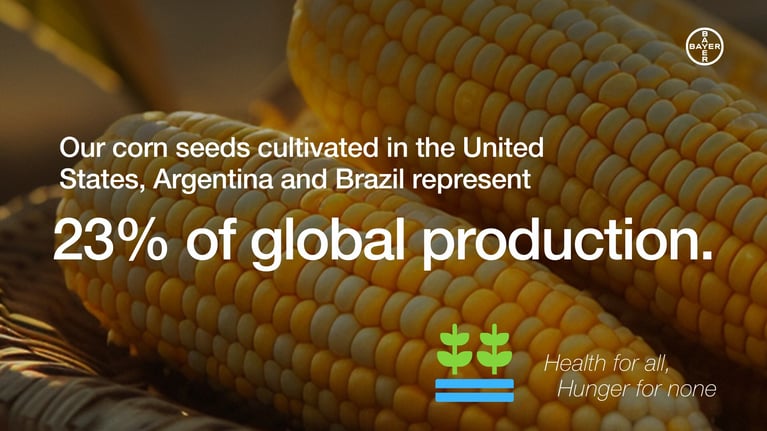 corn-region.png