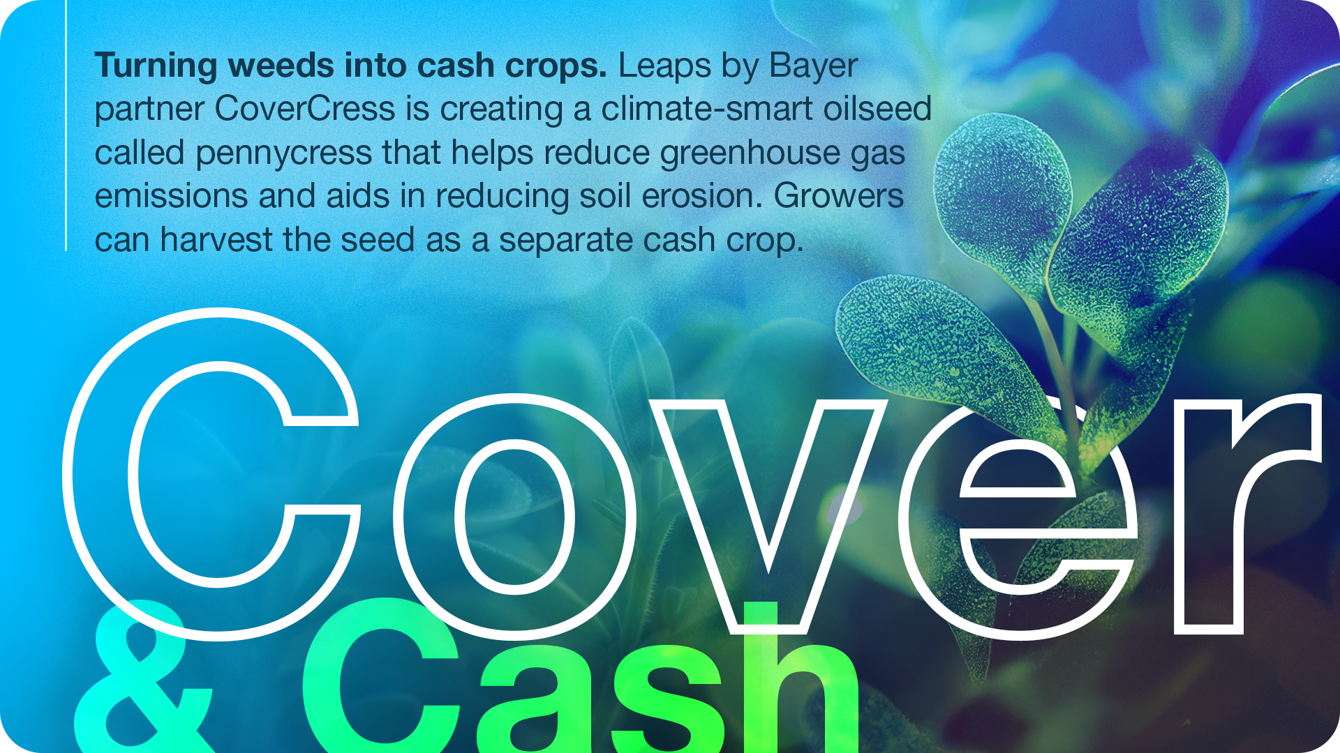 crop-science-cover-cash-1-1.png