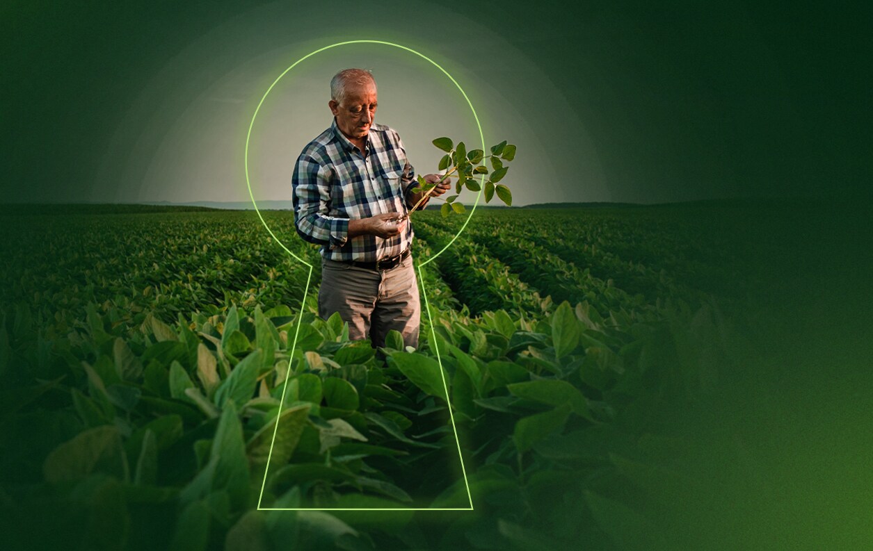 CropKey Folienbild
