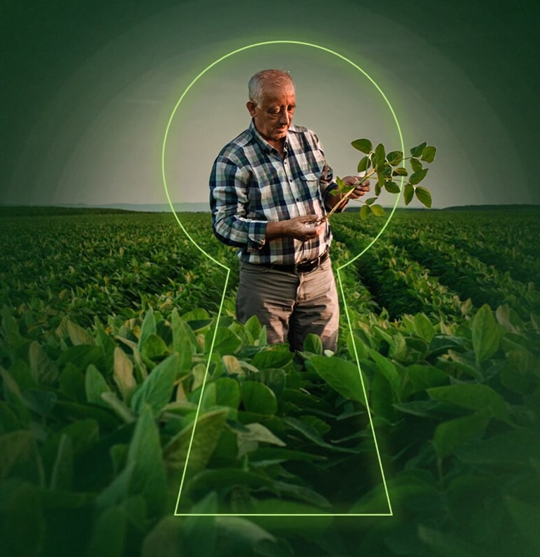 cropkey slide pic