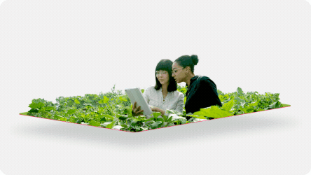 cropscience-with-frame-for-gif-2-0.gif